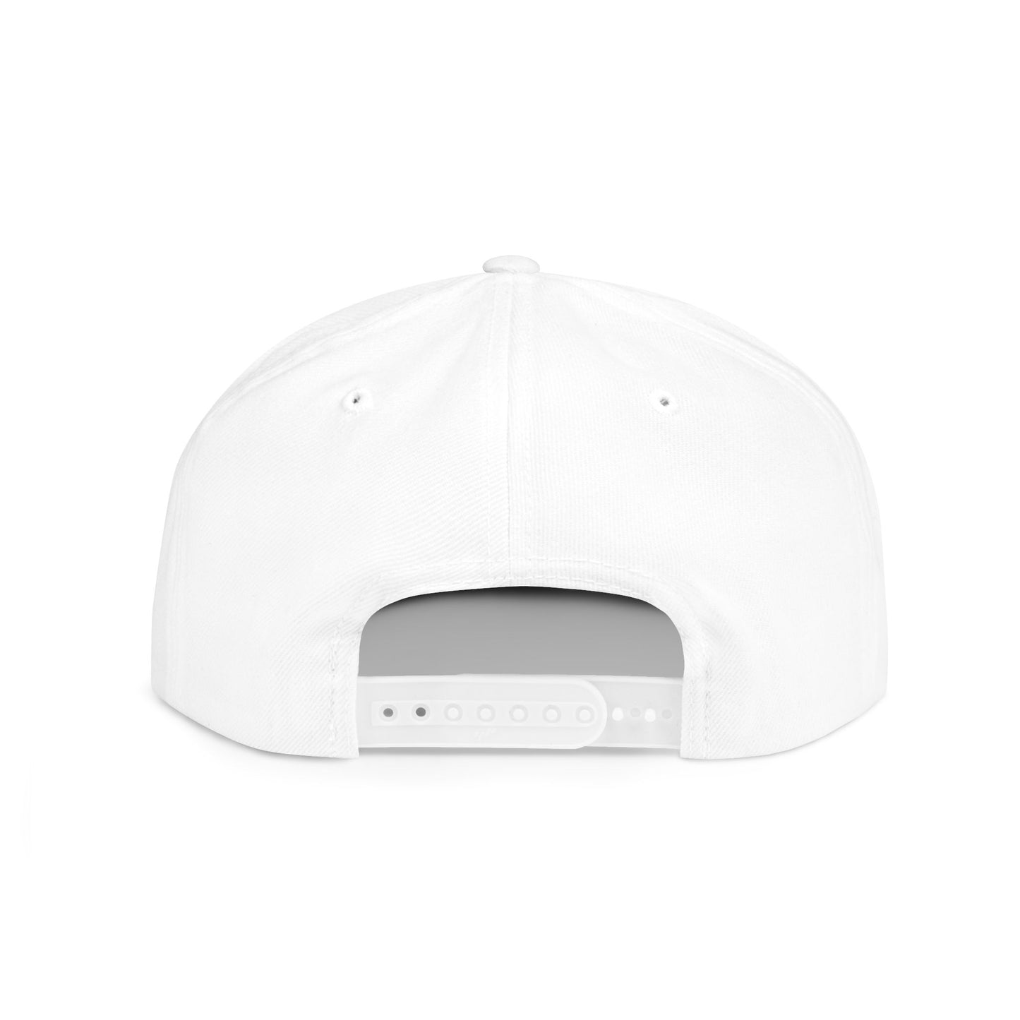 FDT Snapback Hat Political Satire - White with Red Embroidery